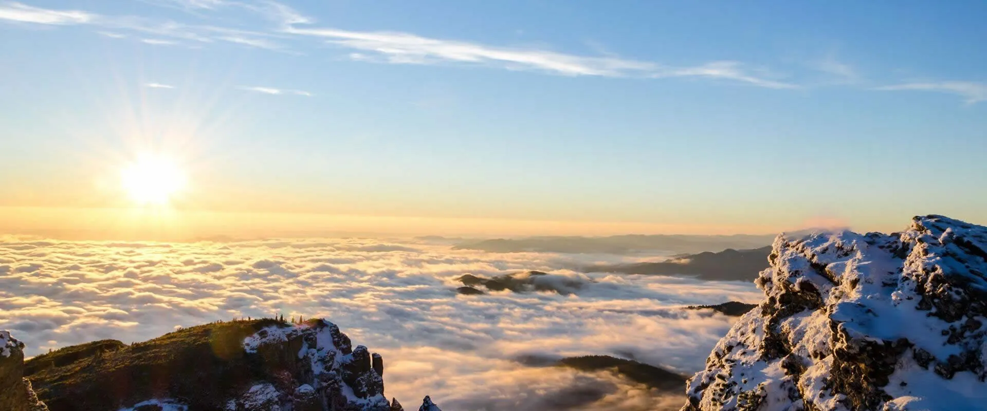 Partnered with a globally renowned corporation